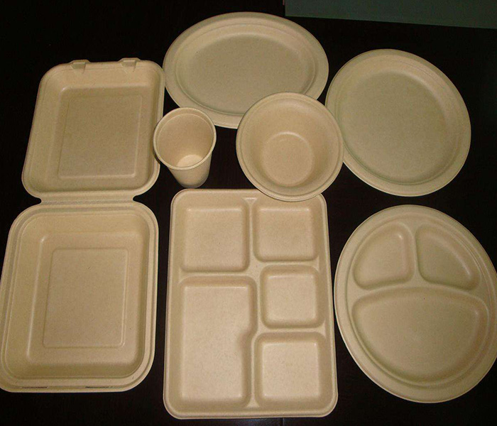 環(huán)保紙漿模塑歷來發(fā)展與應用有哪些？